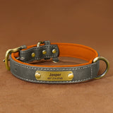 Collier pour chien en cuir personnalisable