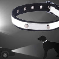 Collier pour chien personnalisable en tissu réfléchissant