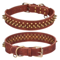 Collier à rivets dorés pour chien