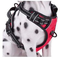 Harnais pour chien anti-traction personnalisable avec bandes réfléchissantes