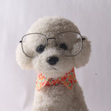 Small white dog with curly fur wearing a floral dog collar bandana around its neck, with a colorful orange floral triangle pattern placed on its chest.