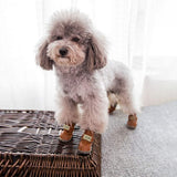 Bottes de neige avec doublure en coton doux pour chien