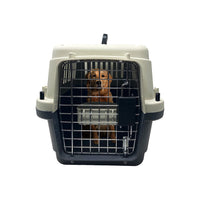 Caisse de transport pour chien homologuée pour avion