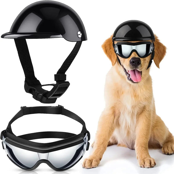Chien de taille moyenne portant un casque noir et des lunettes de protection réfléchissantes, prêt pour une balade sécurisée en plein air.