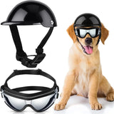 Chien de taille moyenne portant un casque noir et des lunettes de protection réfléchissantes, prêt pour une balade sécurisée en plein air.