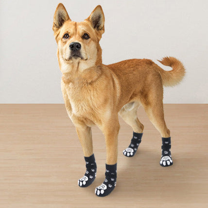 Chien de taille moyenne portant quatre chaussons noirs antidérapants avec motifs de pattes et bande ajustable, debout sur un sol intérieur clair.