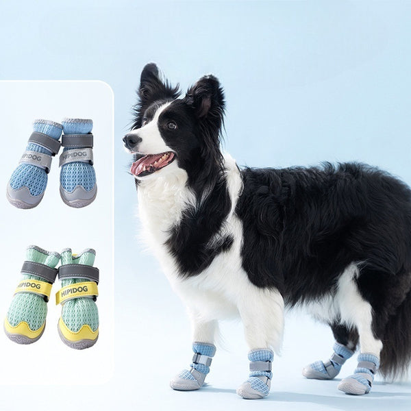 Chien noir et blanc portant des chaussures d’été respirantes et antidérapantes bleu clair, avec semelles grises et bandes réfléchissantes, debout sur fond bleu. Deux modèles colorés supplémentaires sont affichés à gauche.
