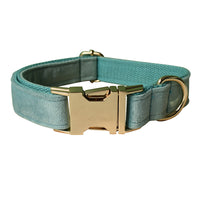 Collier en velours pour chien avec boucle dorée brillante et anneau de fixation, offrant un style élégant et un confort supérieur.