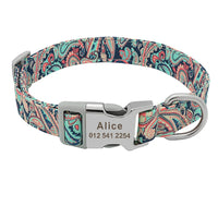 Collier pour chien personnalisable