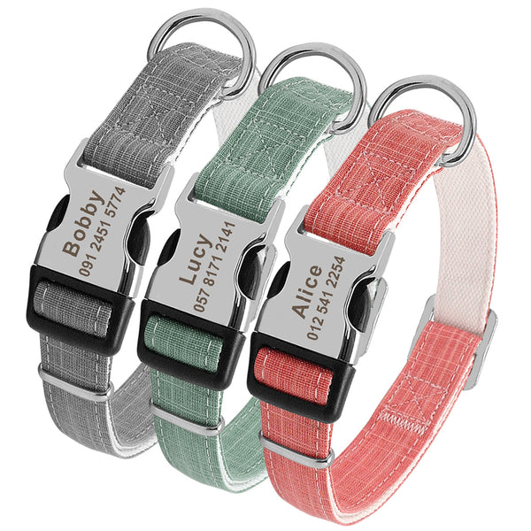 Trois colliers personnalisés pour chien avec boucles métalliques gravées au nom du chien et au numéro de téléphone, accompagnés de laisses assorties.