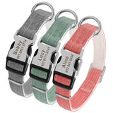 Trois colliers personnalisés pour chien avec boucles métalliques gravées au nom du chien et au numéro de téléphone, accompagnés de laisses assorties.