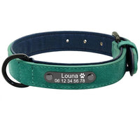 Collier pour chien en cuir vert avec plaque gravée personnalisable