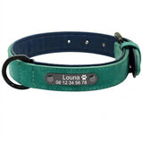Collier pour chien en cuir vert avec plaque gravée personnalisable
