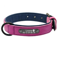 Collier pour chien en cuir violet avec plaque gravée personnalisable