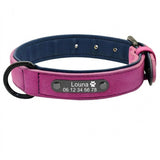 Collier pour chien en cuir violet avec plaque gravée personnalisable