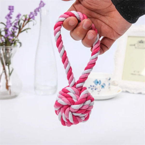 Jouet corde torsadée pour chien, rose et blanche, avec une boule solide à mâcher et une poignée en boucle pour les jeux de traction et de lancer.