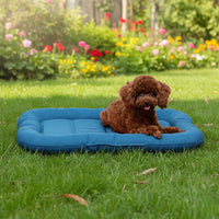 Petit chien couché sur un coussin de couchage bleu, moelleux et rectangulaire, installé sur l’herbe dans un jardin fleuri. Le chien semble détendu et heureux.