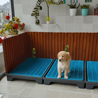 Chiot assis sur une grande litière bleue pour chien, placée en intérieur avec une surface perforée et un tuyau d’évacuation discret. Litière conçue pour l’hygiène quotidienne.