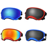 Lunettes de ski avec protection UV pour chien