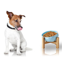 Un chien affamer devant sa gamelle de couleur bleu au dessus d'un support en bois remplie de croquette pour chien sur un fond blanc