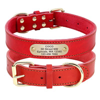 Collier pour chien en cuir personnalisable