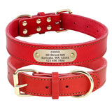 Collier pour chien en cuir personnalisable