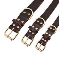 Collier pour chien en cuir personnalisable