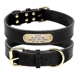 Collier pour chien en cuir personnalisable