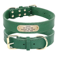 Collier pour chien en cuir personnalisable