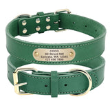 Collier pour chien en cuir personnalisable