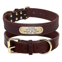 Collier pour chien en cuir personnalisable