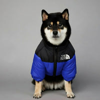 Doudoune imperméable pour chien The Dog Face