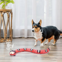 chien dans le salon avec un jouet interactif pour chien et chat en forme de serpent