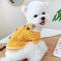 Pull tricoté à bouton pour chien