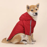 Chien de taille moyenne portant un kway rouge avec capuche et bandes réfléchissantes, assis calmement, prêt pour une promenade hivernale.