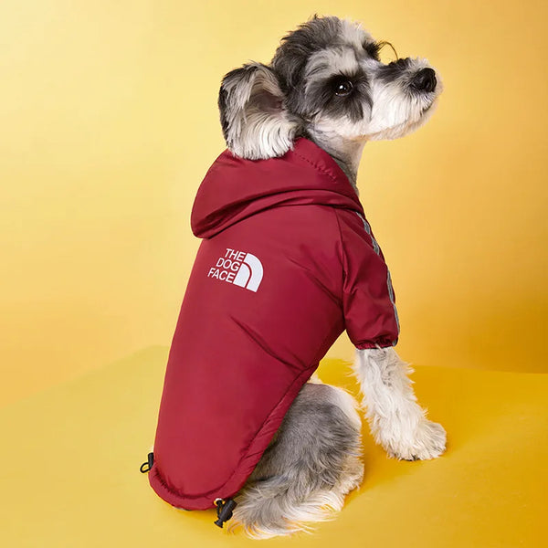 Petit chien assis de dos portant un manteau imperméable rouge à capuche avec le logo 