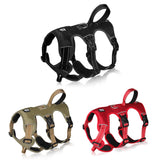 Harnais anti-traction ajustable 3 points pour chien