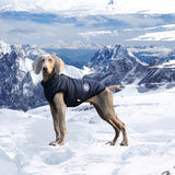Manteau harnais imperméable pour chien en coton