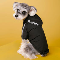 Manteau imperméable réfléchissant pour chien The Dog Face