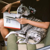 Couchage de voiture à carreaux pour chien