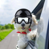 Casque et lunettes de protection pour chien