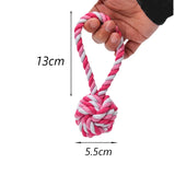 Corde à mâcher torsadée pour chien
