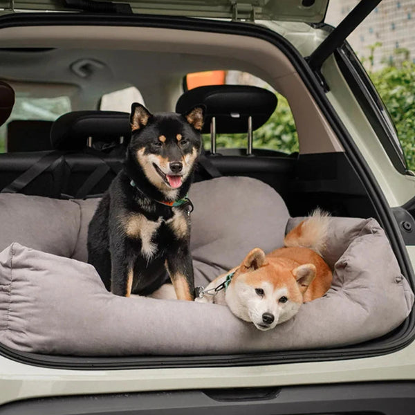 Deux chiens installés confortablement dans un sac de transport gris rembourré, placé dans le coffre ouvert d’une voiture. Le sac crée un espace sécurisé et douillet pour le voyage.