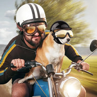 Casque et lunettes de protection pour chien