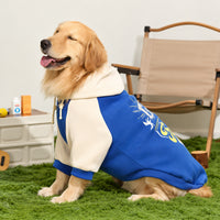 Grand chien golden retriever portant un sweat à capuche bicolore avec manches contrastantes, capuche et imprimé fantaisie au dos, photographié dans un espace aménagé avec du gazon.