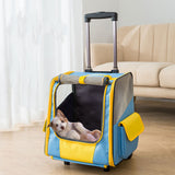 Un chien qui se repose sur son dos dans son chariot de transport de couleur bleu et jaune