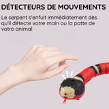 Jouet interactif pour chien et chat serpent intelligent