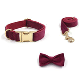 Ensemble collier laisse noeud papillon pour chien bordeaux en velours