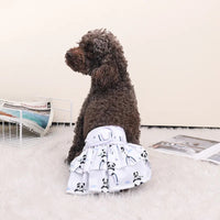 Couche pour chien femelle