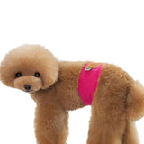 Petit chien marron debout mettant la couche culotte sanitaire pour chien mâle rose dans un fond blanc